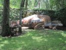 PICTURES/Dinosaur World Florida/t_IMG_5975.jpg